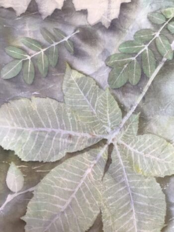 Margaret Erwin / Silk Scarf / Eucalyptus
