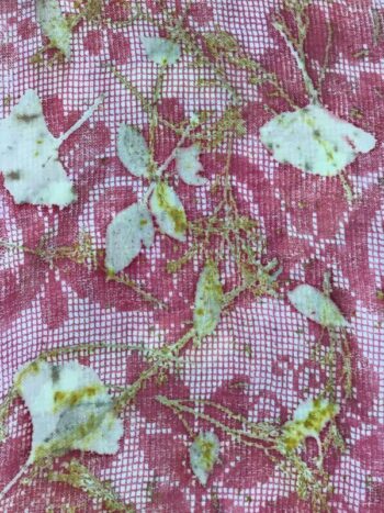 Margaret Erwin / Silk & Wool Scarf / Ginkgo Lace