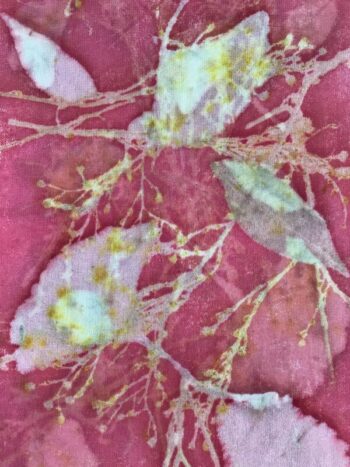 Margaret Erwin / Silk Scarf / Ginkgo