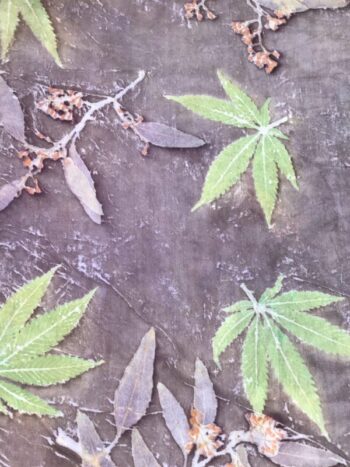 Margaret Erwin / Silk Scarf / Sativa