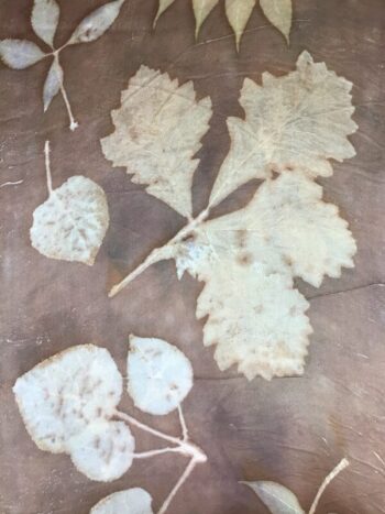 Margaret Erwin / Silk Scarf / Aspen Ash