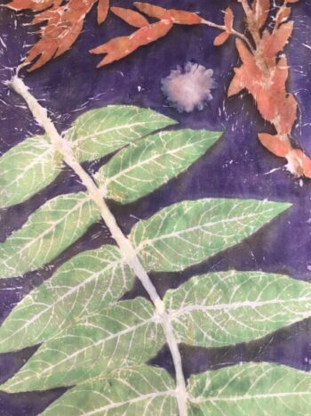 Margaret Erwin / Silk Scarf / Butternut