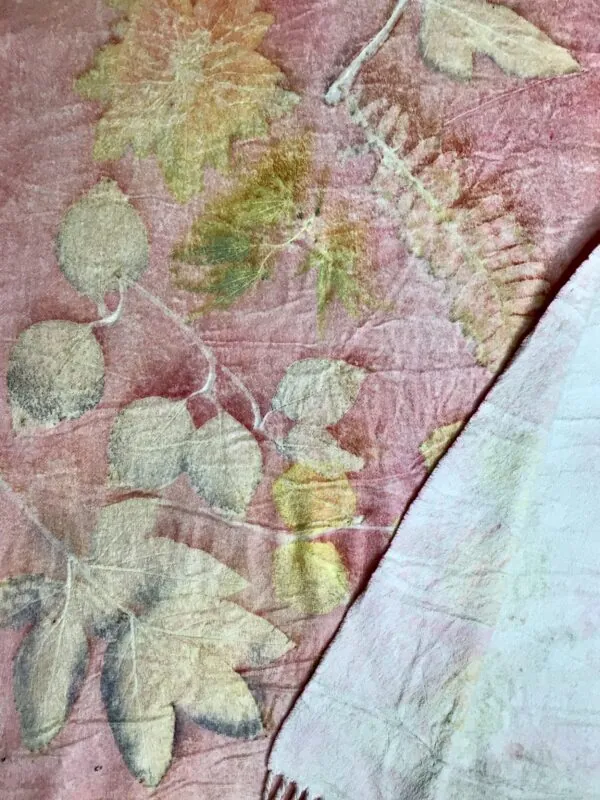 Margaret Erwin / Cashmere / Peach Scarf