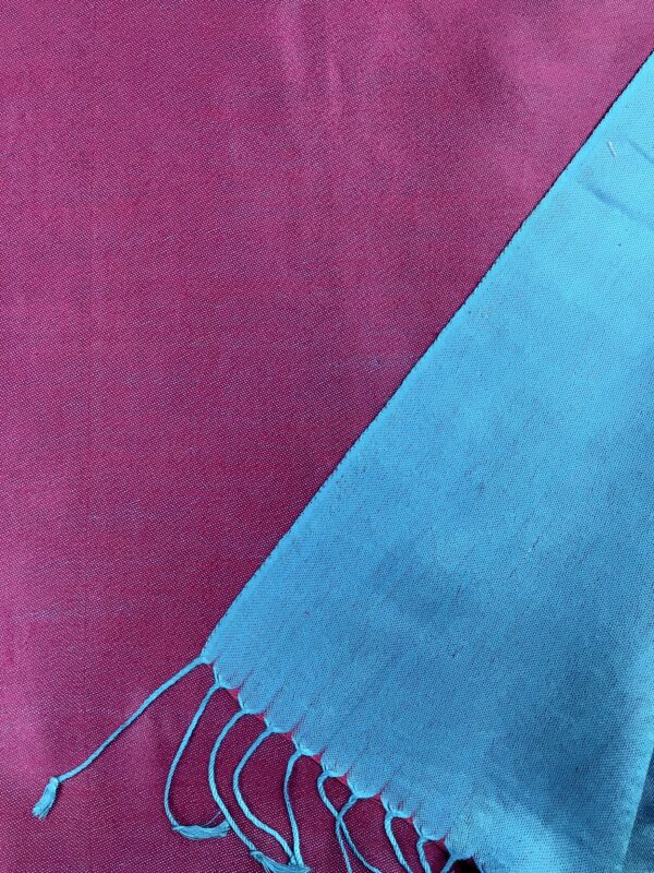 Kashmir / Silk Double Sided Scarf / Turquoise & Pink