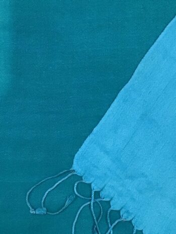 Kashmir / Silk Double Sided Scarf / Green & Turquoise