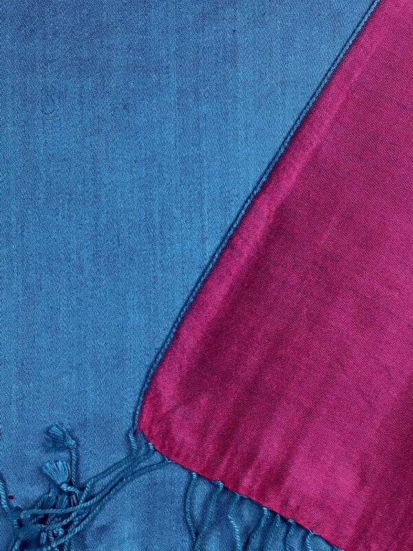 Kashmir / Silk Double Sided Scarf / Blue & Pink