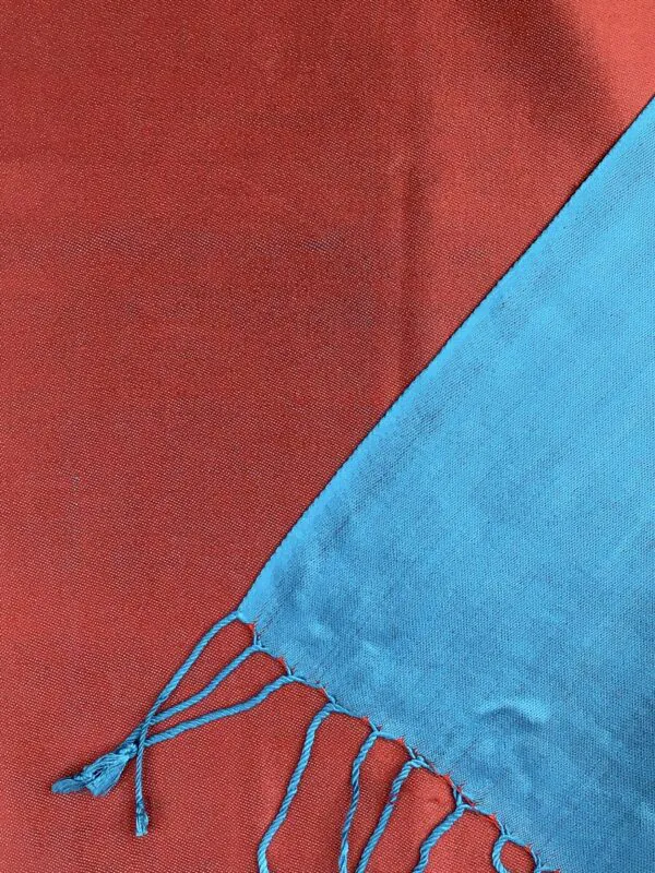 Kashmir / Silk Double Sided Scarf / Red & Blue