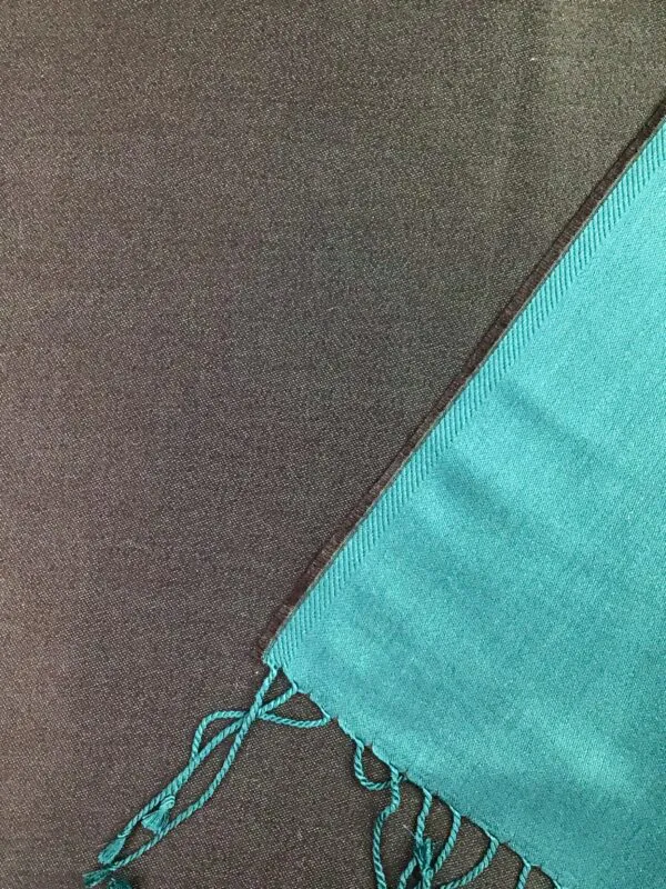 Kashmir / Silk Double Sided Scarf / Black & Teal