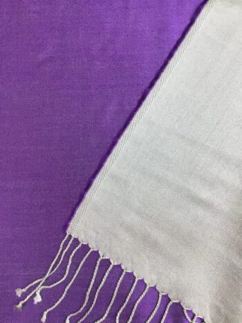 Kashmir / Silk Double Sided Scarf / Purple & Pale Green